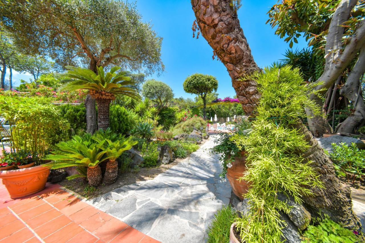 Hotel Pineta Ischia Esterno foto