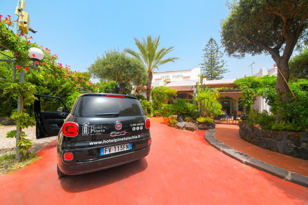 Hotel Pineta Ischia Esterno foto