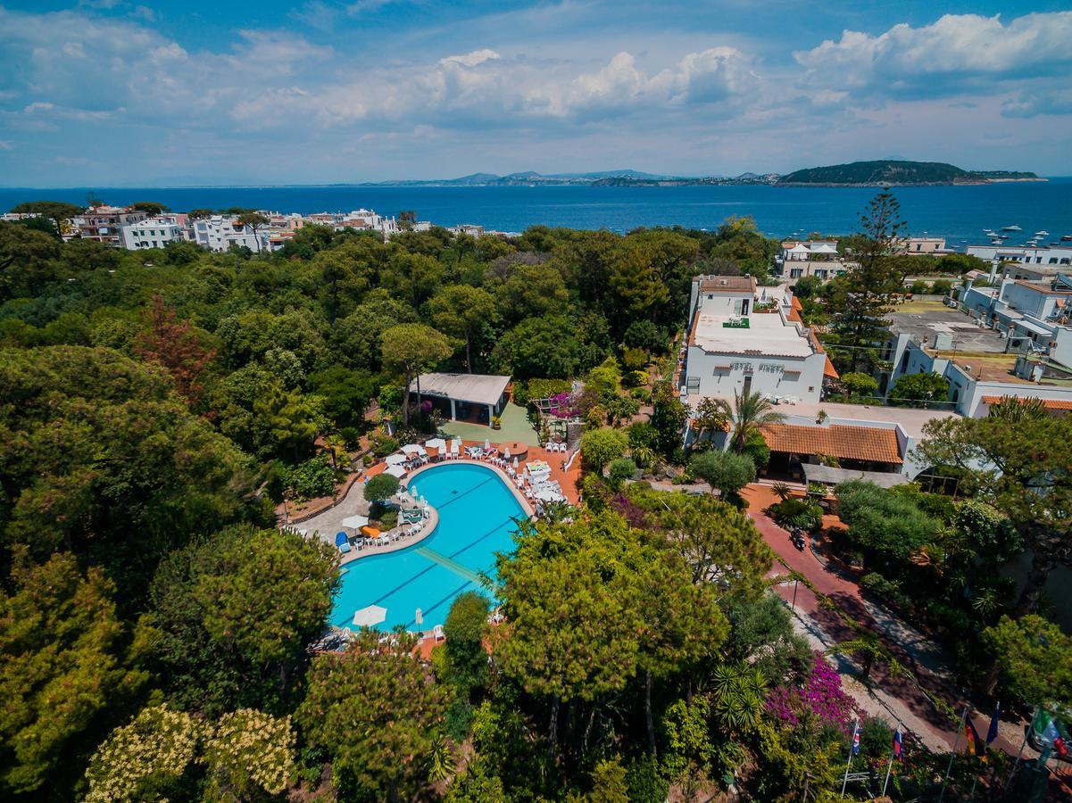 Hotel Pineta Ischia Esterno foto